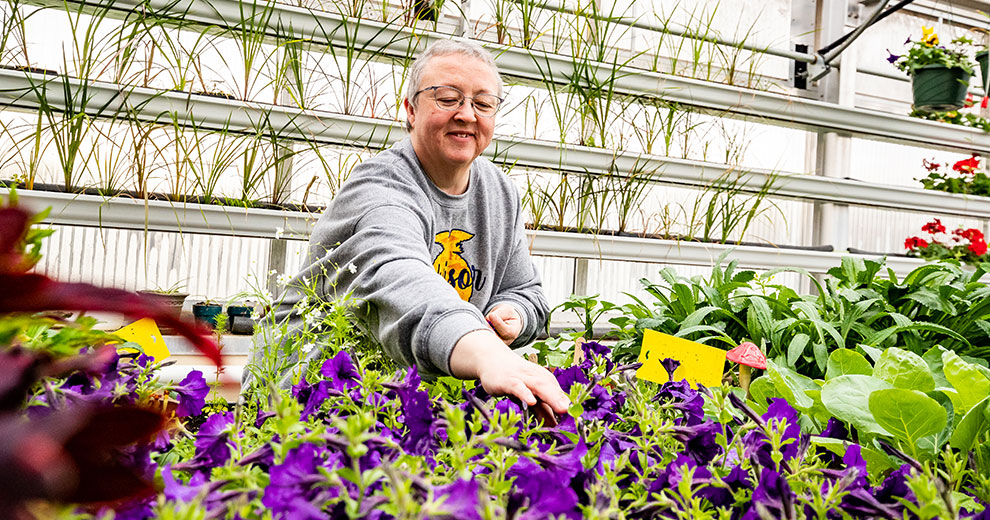 Woman tending to flowers in a greenhouse