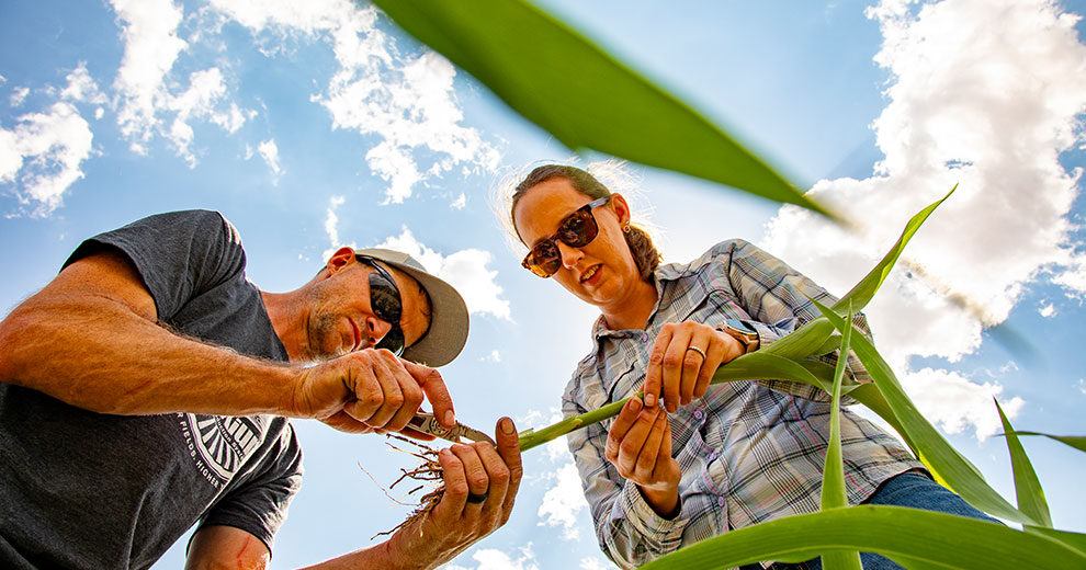 CHS board members in a field