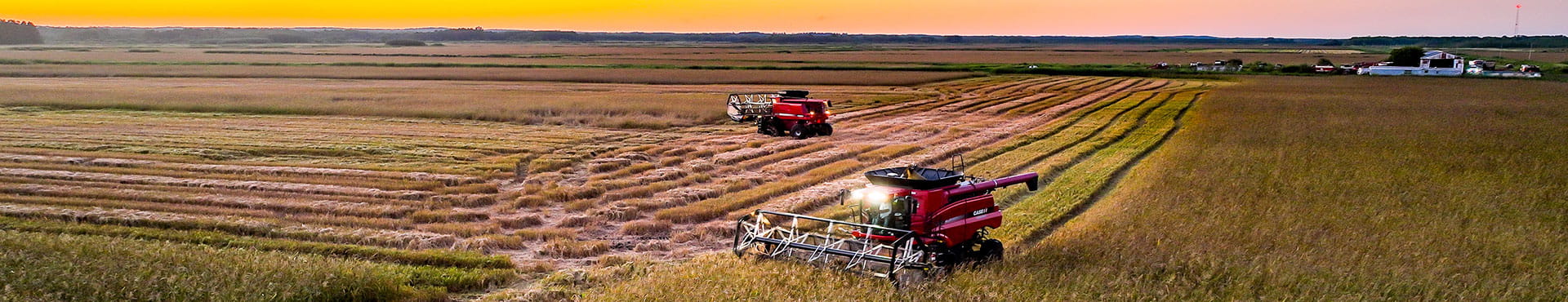 Harvesting at sunset