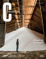 Cover of CHS C Magazine Spring 2020