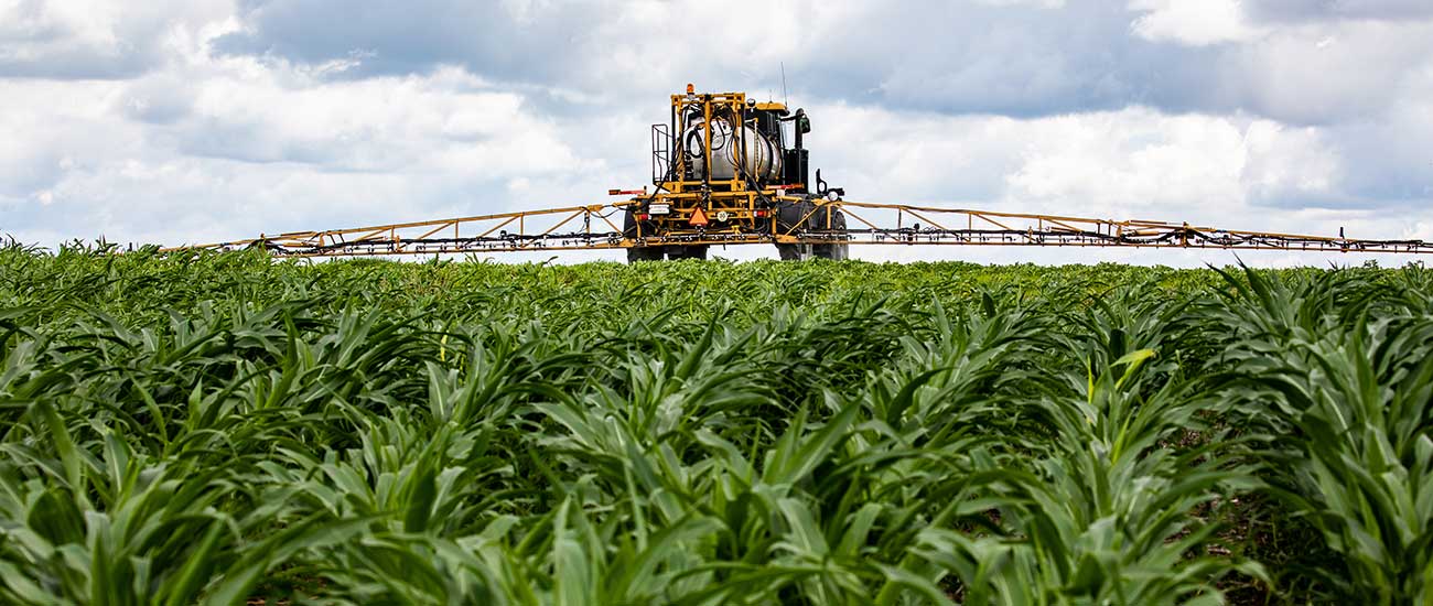 yellow applicator in cornfield