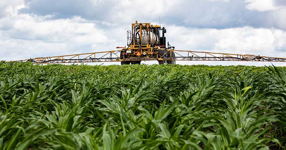 yellow applicator in cornfield