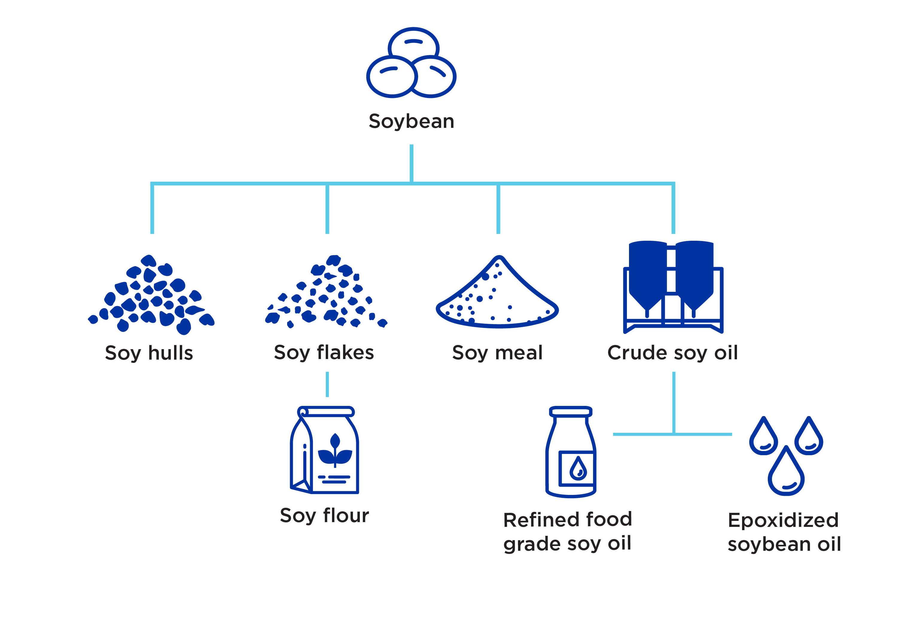 soybean value chain