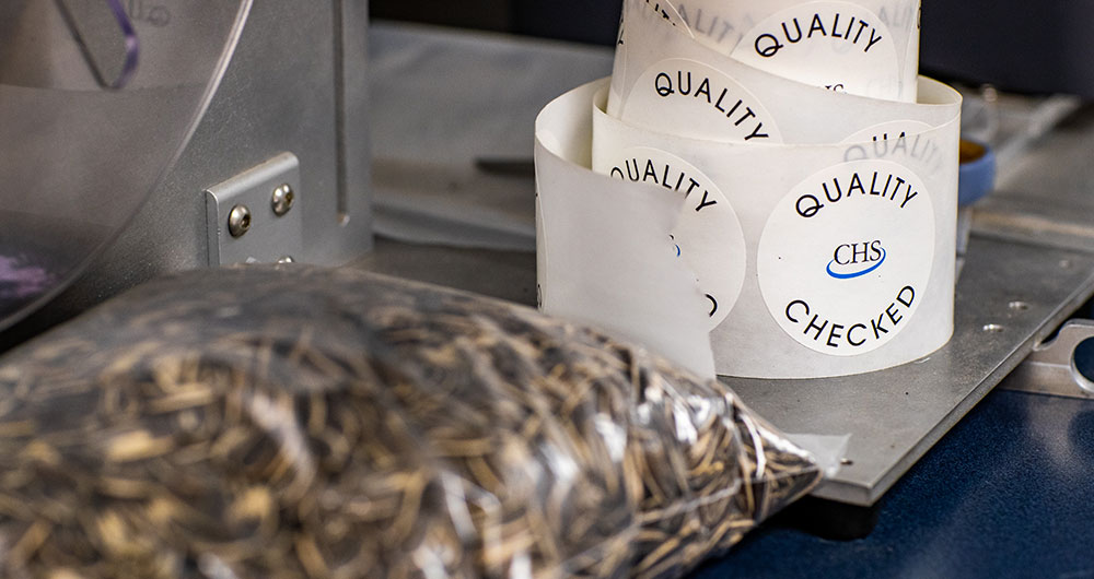 sunflower-quality-checked