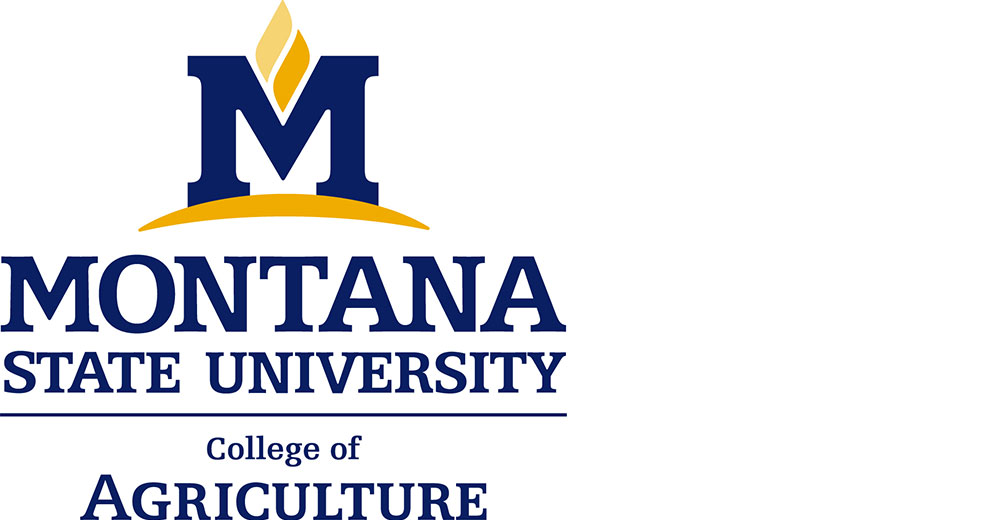 Montana State University logo