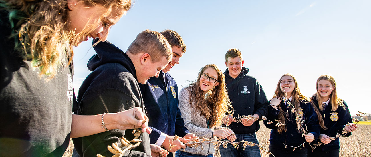 group of students in a bean field