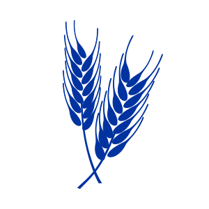 Triticale icon