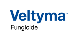 Veltyma