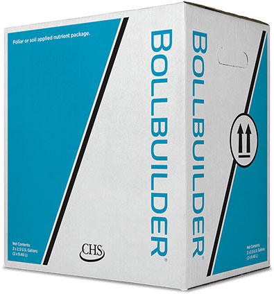 Bollbuilder box