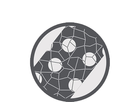 Micronutrient translocation