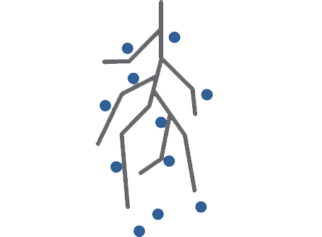 Micronutrient uptake