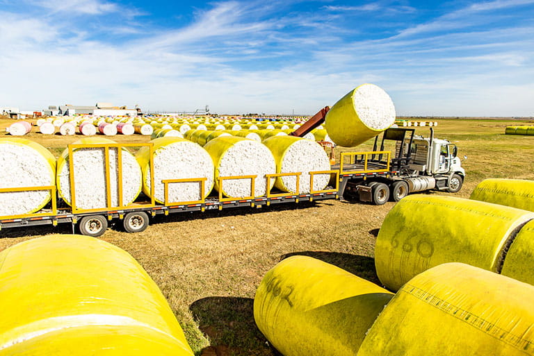 Cotton is delivered to the gin in round modules like the ones pictured or large square modules (not pictured), each with its own number for tracking purposes throughout the ginning process.