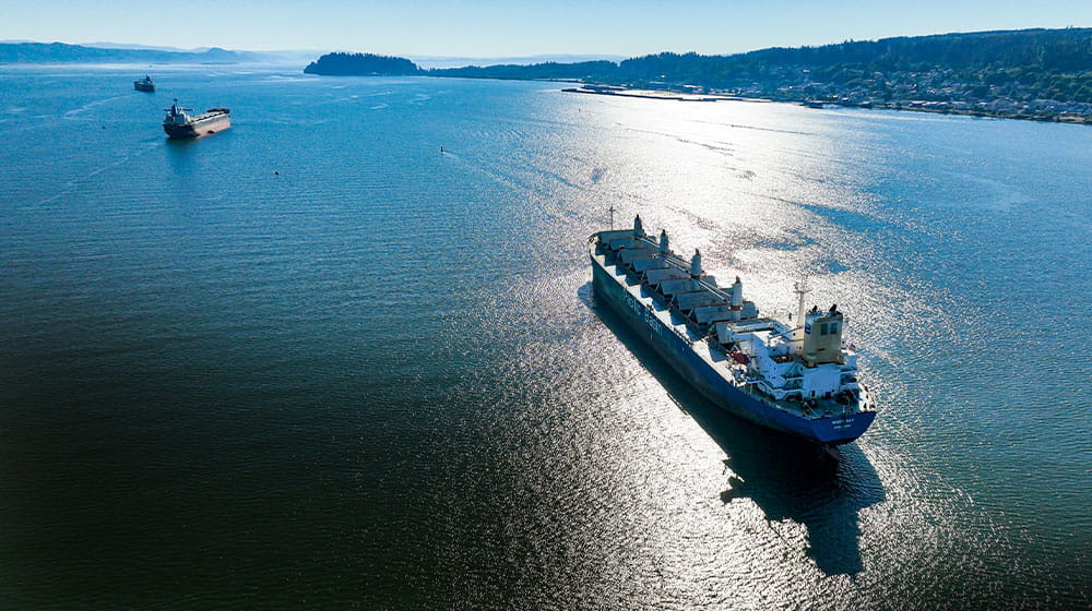 Two cargo ships sailing with land nearby