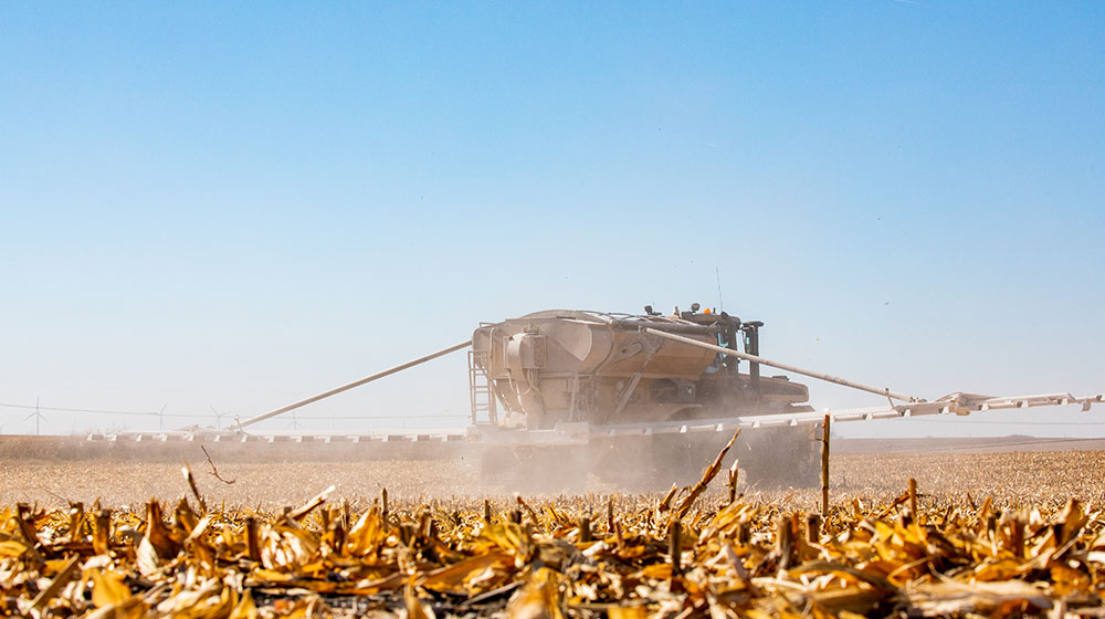 A dry fertilizer spreader in action in a harvested corn field.