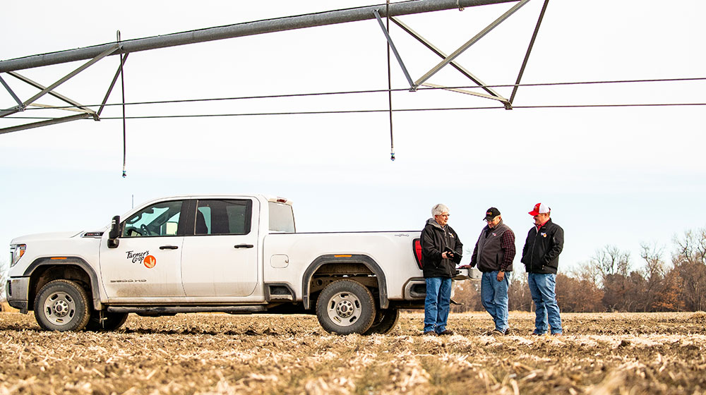 Three people standing in a harvested field.