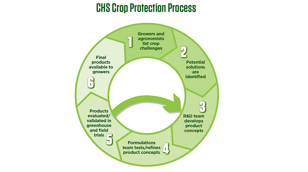 Graphic showing crop protection product process from learning about agronomic challenges and identifying potential solutions to testing and commercializing new products