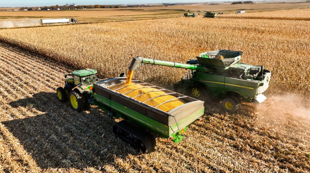 Combine harvesting corn and unloading it on the go